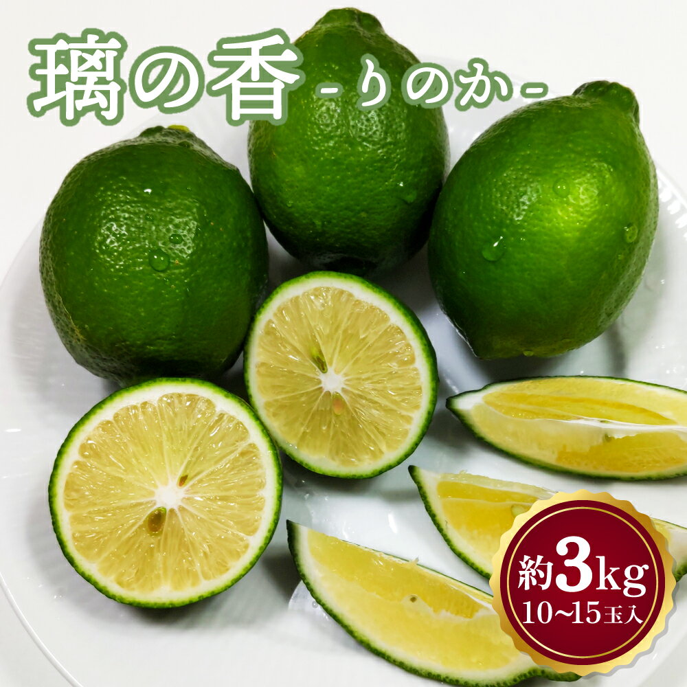 レモン 璃の香 りのか 約3kg (10〜15玉前後) 【2025年8月下旬頃～2026年4月下旬】檸檬 柑橘 国産 九州産 熊本県産 宇城市産 送料無料 吉田レモニー