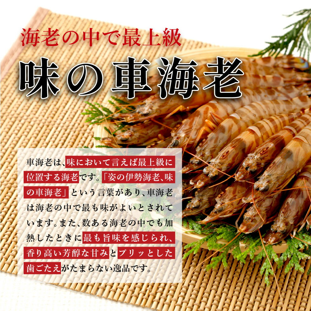 【ふるさと納税】【配送日必須】【先行予約】熊本県産 活き車海老 約270g〜1kg (8〜45尾程度) 【発送期間11月14日から2月28日】 生きたまま 活き 車エビ 海老 えび エビ 海鮮 魚介類 新鮮 国産 九州産 熊本県産 送料無料 吉本水産 サムネイル2