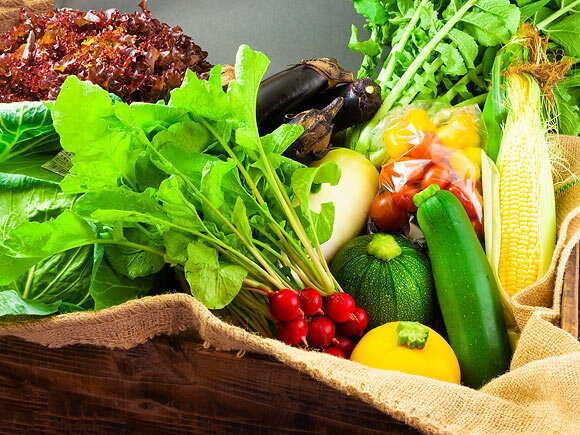 【ふるさと納税】ASOMILK 阿部牧場 お野菜セット 季節の野菜 800ml×1本 のむヨーグルト800ml×1本 セット 牛乳 阿蘇ミルク 高原 旬 新鮮 5〜10品 減農薬 産地直送 詰め合わせ 熊本県 阿蘇市 - 画像2