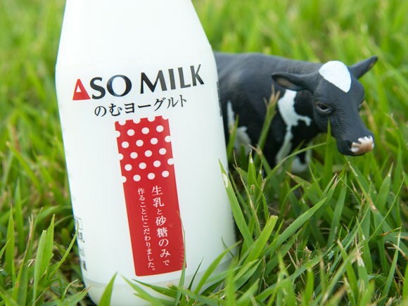 【ふるさと納税】ASOMILK 阿部牧場 お野菜セット 季節の野菜 800ml×1本 のむヨーグルト800ml×1本 セット 牛乳 阿蘇ミルク 高原 旬 新鮮 5〜10品 減農薬 産地直送 詰め合わせ 熊本県 阿蘇市 - 画像3