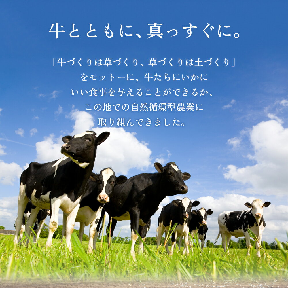 【ふるさと納税】ASOMILK 阿部牧場 阿蘇ミルク 牛乳 お野菜セット 季節の野菜 ASOMILK800ml×2本 セット 新鮮 旬 高原 お野菜5〜10品 減農薬 産地直送 詰め合わせ 熊本県 阿蘇市 - 画像3