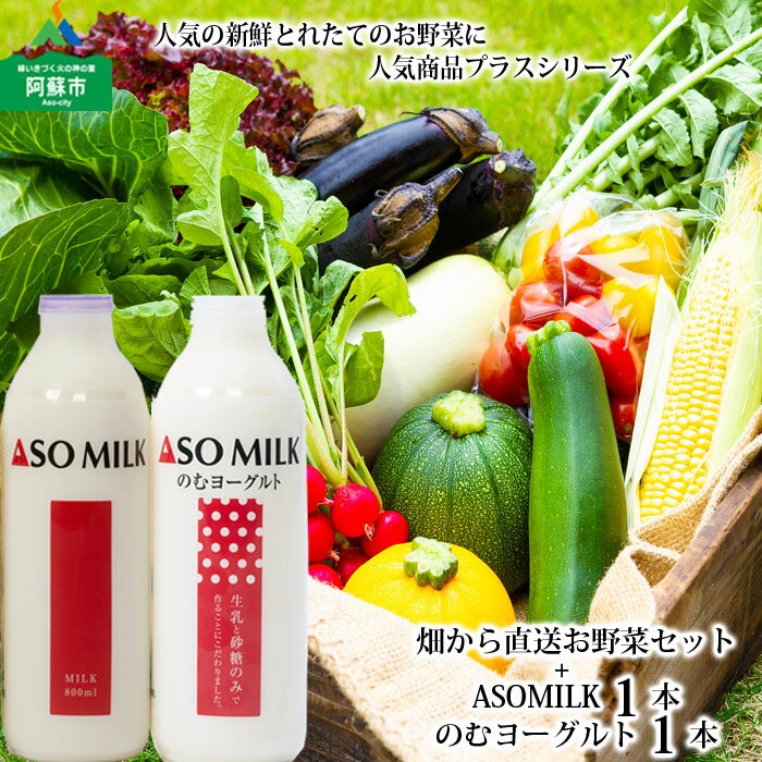 ASOMILK 阿部牧場 お野菜セット 季節の野菜 800ml×1本 のむヨーグルト800ml×1本 セット 牛乳 阿蘇ミルク 高原 旬 新鮮 5〜10品 減農薬 産地直送 詰め合わせ 熊本県 阿蘇市