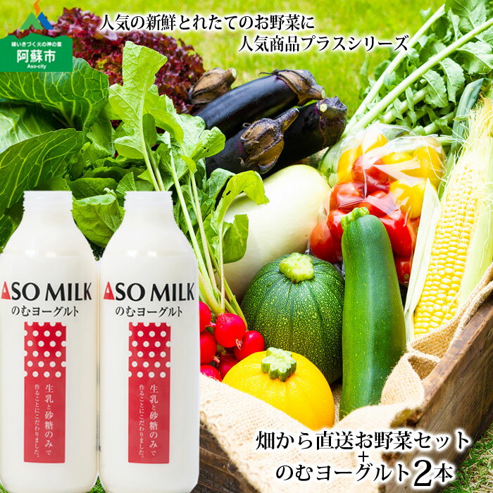 ASOMILK 阿部牧場 お野菜セット 季節の野菜 牛乳のむヨーグルト800ml×2本 セット 高原 新鮮 旬 お野菜 5〜10品 減農薬 産地直送 詰め合わせ 熊本県 阿蘇市