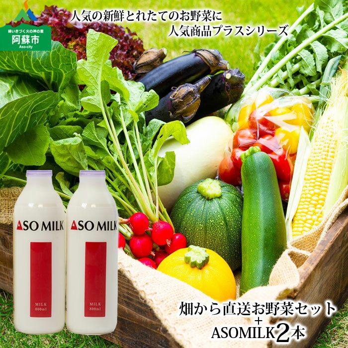 ASOMILK 阿部牧場 阿蘇ミルク 牛乳 お野菜セット 季節の野菜 ASOMILK800ml×2本 セット 新鮮 旬 高原 お野菜5〜10品 減農薬 産地直送 詰め合わせ 熊本県 阿蘇市