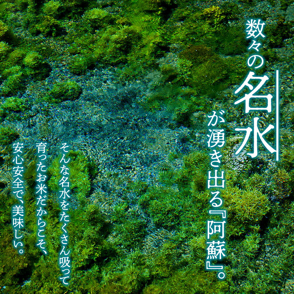 【ふるさと納税】 【選べる回数】 定期便 特別栽培米 ミルキークイーン お米 米 令和7年 ふるさと納税 5kg 1回 3回 6回 12回 白米 こめ おこめ 阿蘇米 アグロスタイル 米 お米 美味しい 寒暖差 湧き水 お取り寄せ 食卓 豪華 贅沢 自然 湧水 熊本県 阿蘇市 - 画像2