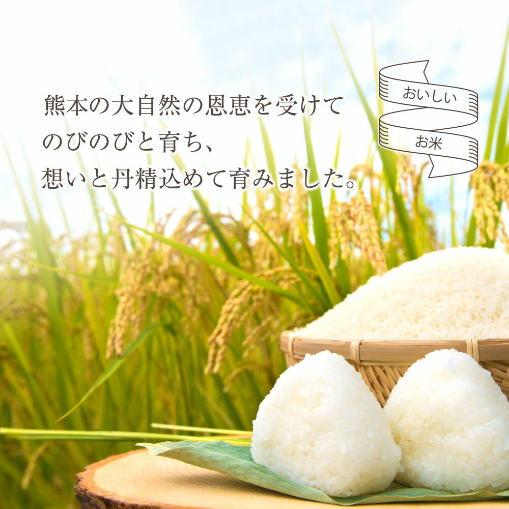 【ふるさと納税】 【選べる回数】 定期便 特別栽培米 ミルキークイーン お米 米 令和7年 ふるさと納税 5kg 1回 3回 6回 12回 白米 こめ おこめ 阿蘇米 アグロスタイル 米 お米 美味しい 寒暖差 湧き水 お取り寄せ 食卓 豪華 贅沢 自然 湧水 熊本県 阿蘇市 - 画像3