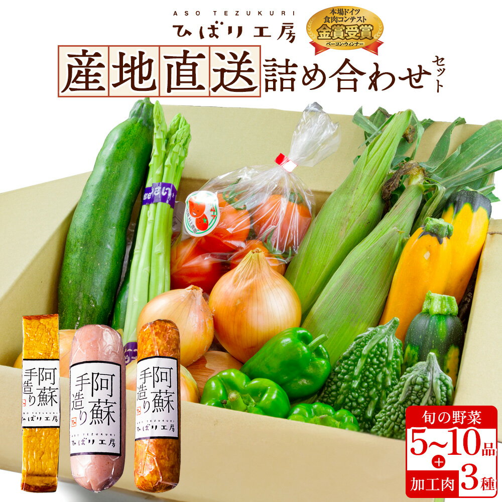 ベーコン ひばり工房 お野菜セット 旬の野菜 5〜10品 野菜 お野菜 ベーコンブロック ふるさと納税 ハム ソーセージ 減農薬 産地直送 詰め合わせ 贅沢 豪華 食卓 美味しい おかず お弁当 朝食 セット お取り寄せ 熊本県 阿蘇市