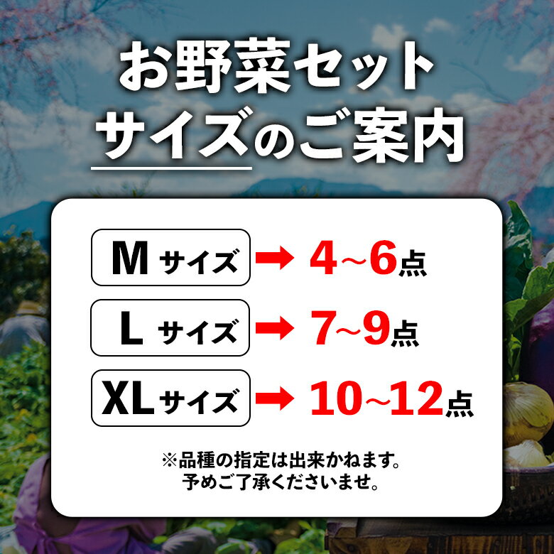 【ふるさと納税】【定期便】畑から直送 季節のお野菜セット Mサイズ 3回 6回 12回 定期便 野菜 4〜6品 定期便 ふるさと納税 全6回 全12回 詰め合わせ セット 新鮮 減農薬 高原 旬 産地直送 野菜 果物 フルーツ 採れたて 甘い 美味しい 人気 安心 安全 熊本県 阿蘇市 - 画像3