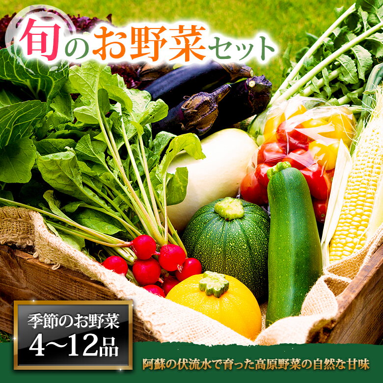 お野菜セット 野菜 お野菜 阿蘇の高原 旬 季節の野菜セット 減農薬 新鮮 安心安全 大満足 産地直送 詰め合わせ やさい ふるさと納税 野菜セット ふるさと納税野菜 みずみずしい 美味しい 自然 自然派 セット たっぷり 熊本県 阿蘇市