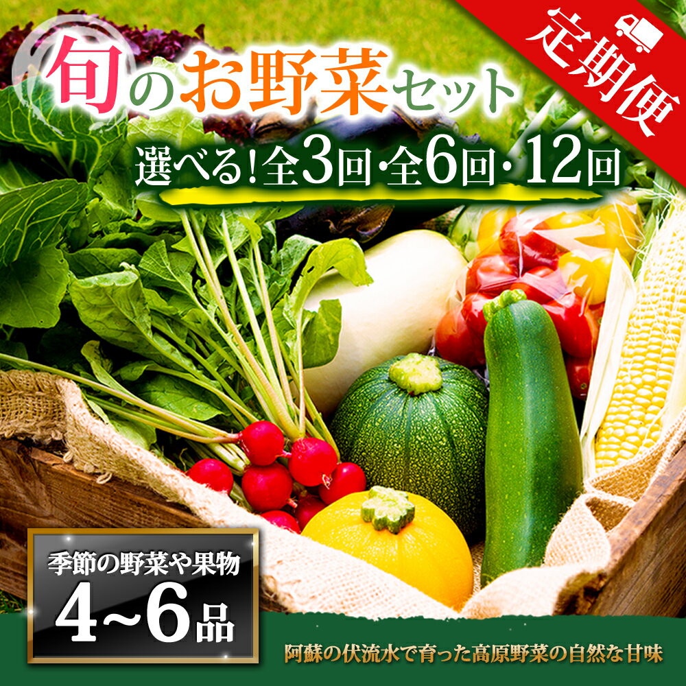 【定期便】畑から直送 季節のお野菜セット Mサイズ 3回 6回 12回 定期便 野菜 4〜6品 定期便 ふるさと納税 全6回 全12回 詰め合わせ セット 新鮮 減農薬 高原 旬 産地直送 野菜 果物 フルーツ 採れたて 甘い 美味しい 人気 安心 安全 熊本県 阿蘇市