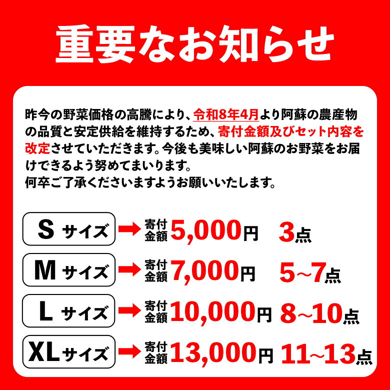 【ふるさと納税】お野菜セット 野菜 お野菜 阿蘇の高原 旬 季節の野菜セット 減農薬 新鮮 安心安全 大満足 産地直送 詰め合わせ やさい ふるさと納税 野菜セット ふるさと納税野菜 みずみずしい 美味しい 自然 自然派 セット たっぷり 熊本県 阿蘇市 - 画像2