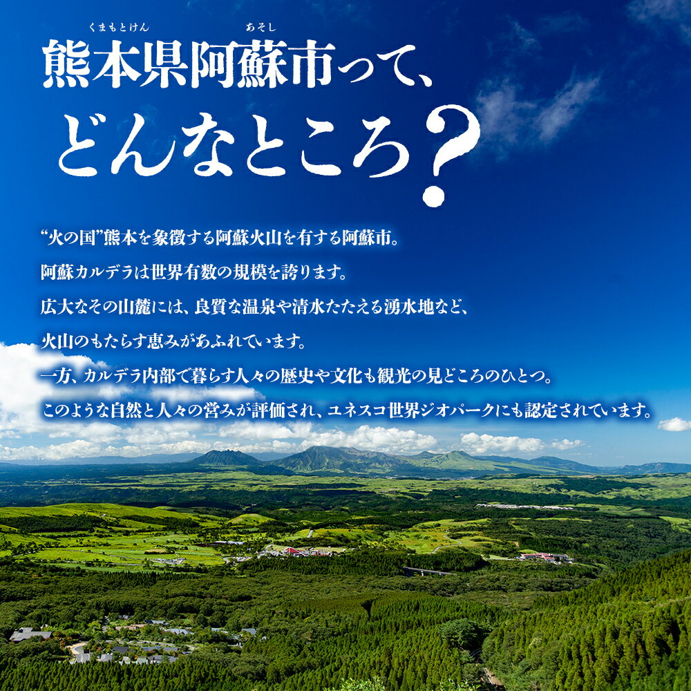 【ふるさと納税】熊本県阿蘇市の対象施設で使える楽天トラベルクーポン 寄附額30,000円 9,000円分クーポン 観光地応援 サムネイル2
