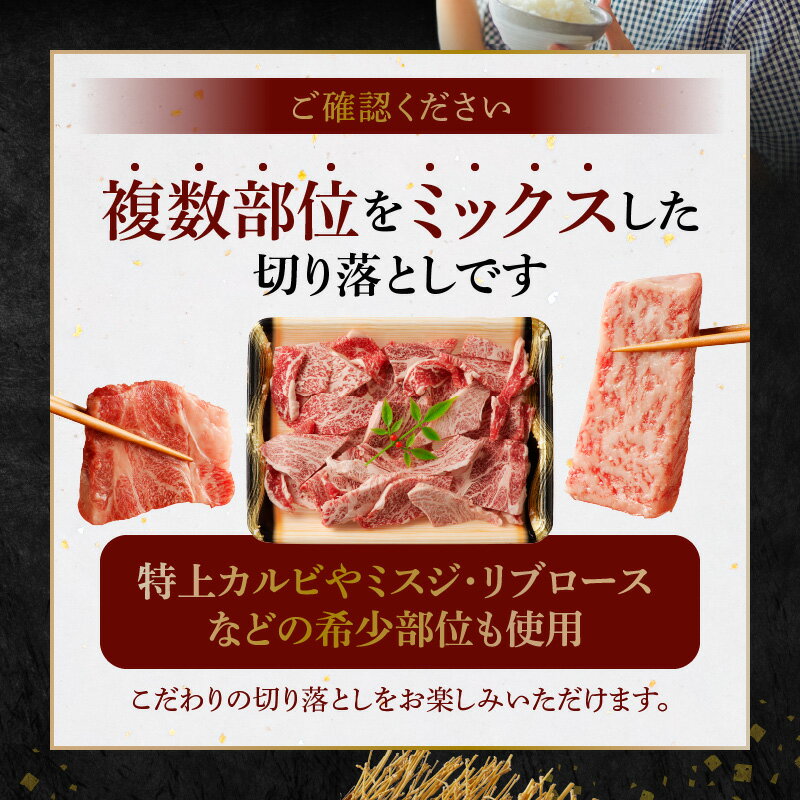 【ふるさと納税】ミシュランビブグルマン 獲得 黒毛和牛 焼肉用 約 1kg 500g × 2パック ロース カルビ 切り落とし A4 〜 A5 等級 厚切り きめ細かい 霜降り サシ 複数部位 ミックス 美味しい お肉 牛 牛肉 焼肉 専門店 お取り寄せ グルメ 熊本県 天草市 送料無料 サムネイル3