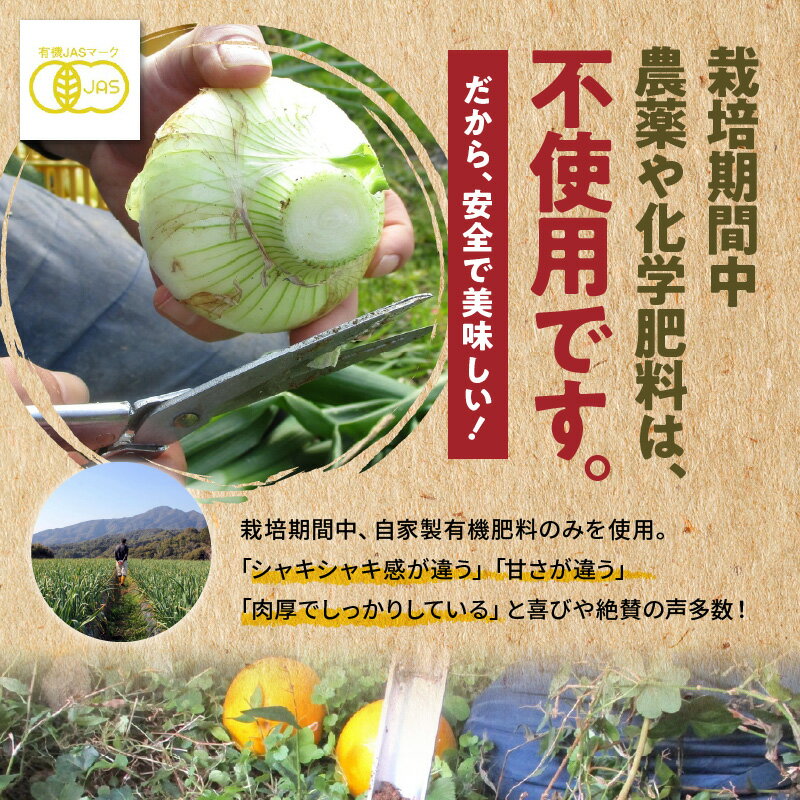 【ふるさと納税】【先行予約】 訳あり 新たまねぎ 玉ねぎ 約 10kg 令和8年4月出荷 オーガニック 栽培期間中 農薬 化学肥料 不使用 安心 安全 野菜 サラダ オニオンスープ お取り寄せ 熊本県 天草市 送料無料 - 画像3