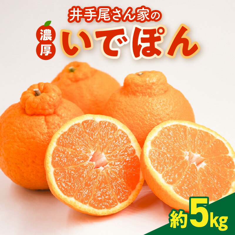 柑橘 不知火 約 5kg 果物 濃厚 フルーツ いでぽん農園 ギフト 予約受付
