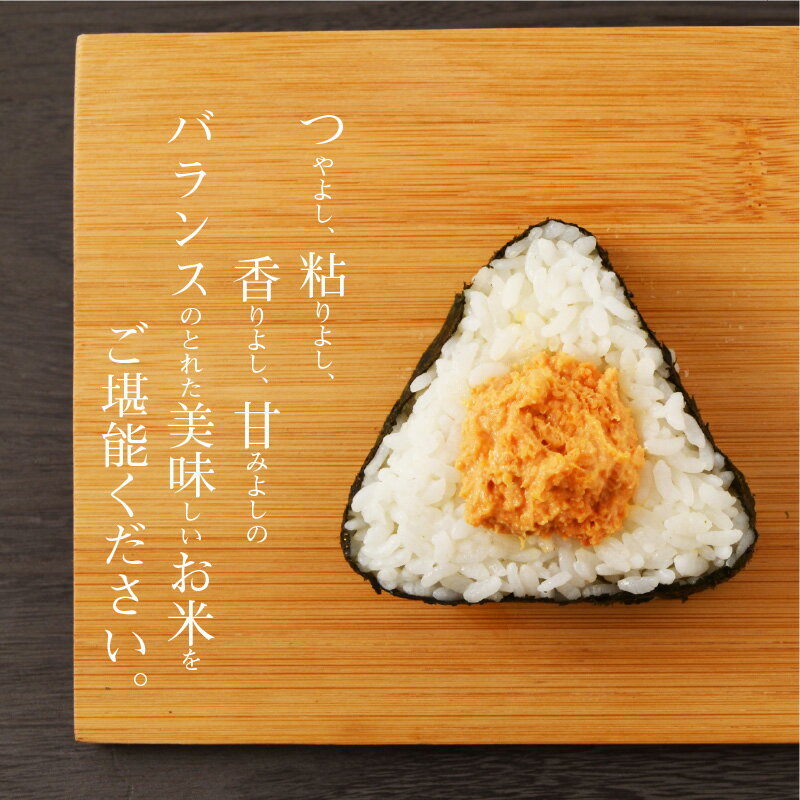 【ふるさと納税】令和7年産 コシヒカリ 5kg 精米 単一原料米 白米 ごはん 米 おにぎり 米作り 熊本県 天草 お取り寄せ 食品 九州 故郷の味 常温 送料無料 - 画像3