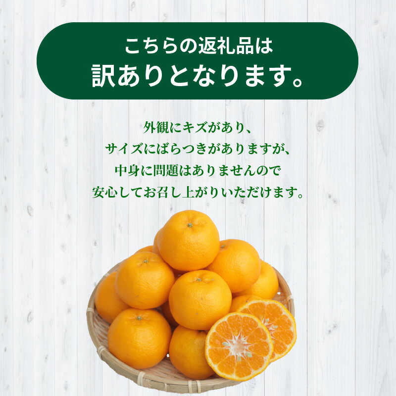 【ふるさと納税】【訳あり】農家の手摘み 太田 ポンカン 家庭用約5kg サムネイル2