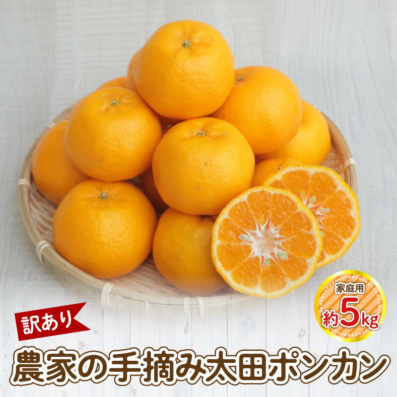 【訳あり】農家の手摘み 太田 ポンカン 家庭用約5kg
