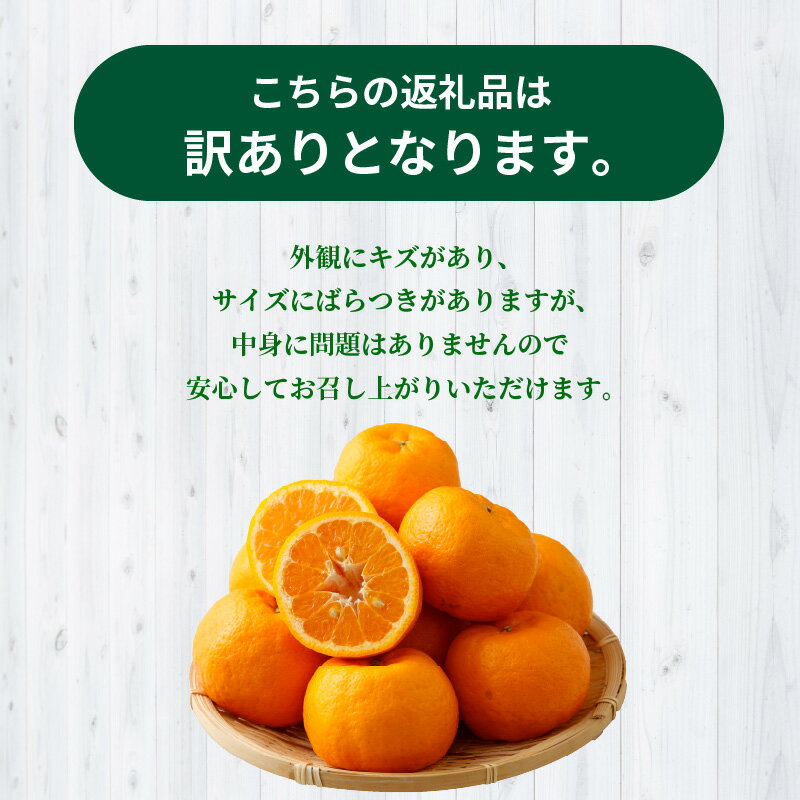 【ふるさと納税】【訳あり】農家の手摘み　天草ポンカン　家庭用　5kg サムネイル2