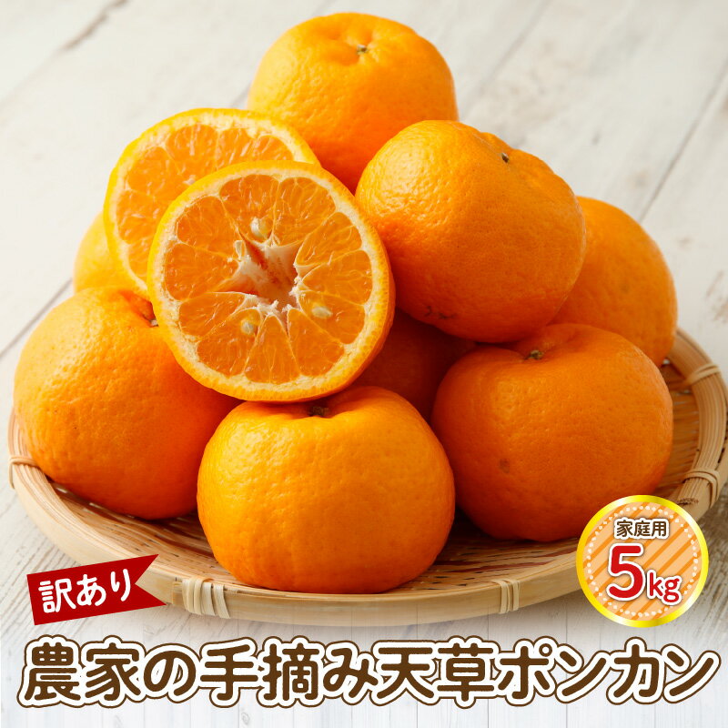 【訳あり】農家の手摘み　天草ポンカン　家庭用　5kg