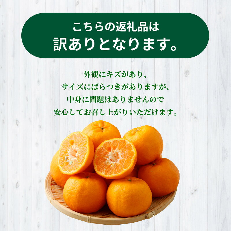 【ふるさと納税】【訳あり】農家の手摘み　下浦100年ポンカン　家庭用　5kg サムネイル2