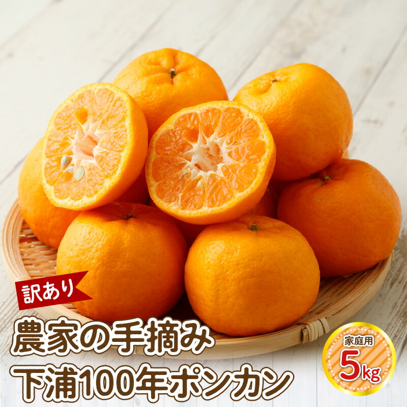 【訳あり】農家の手摘み　下浦100年ポンカン　家庭用　5kg