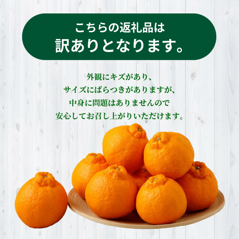 【ふるさと納税】【訳あり】農家の手摘み　不知火　家庭用　3kg サムネイル2