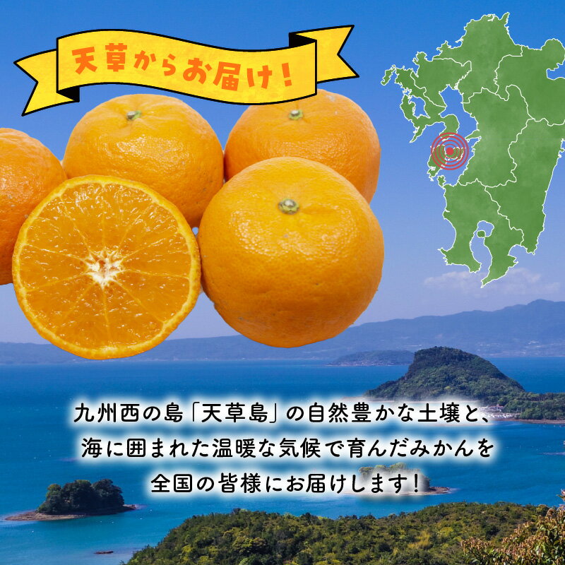 【ふるさと納税】先行受付 ポンカン 天草 5kg 箱 天草産 柑橘 みかん 樹上完熟栽培 香り高い すっきりとした甘さ 果物 フルーツ 果樹園 有楽園 のし対応可 お取り寄せ お取り寄せフルーツ 熊本県 天草市 送料無料 サムネイル2