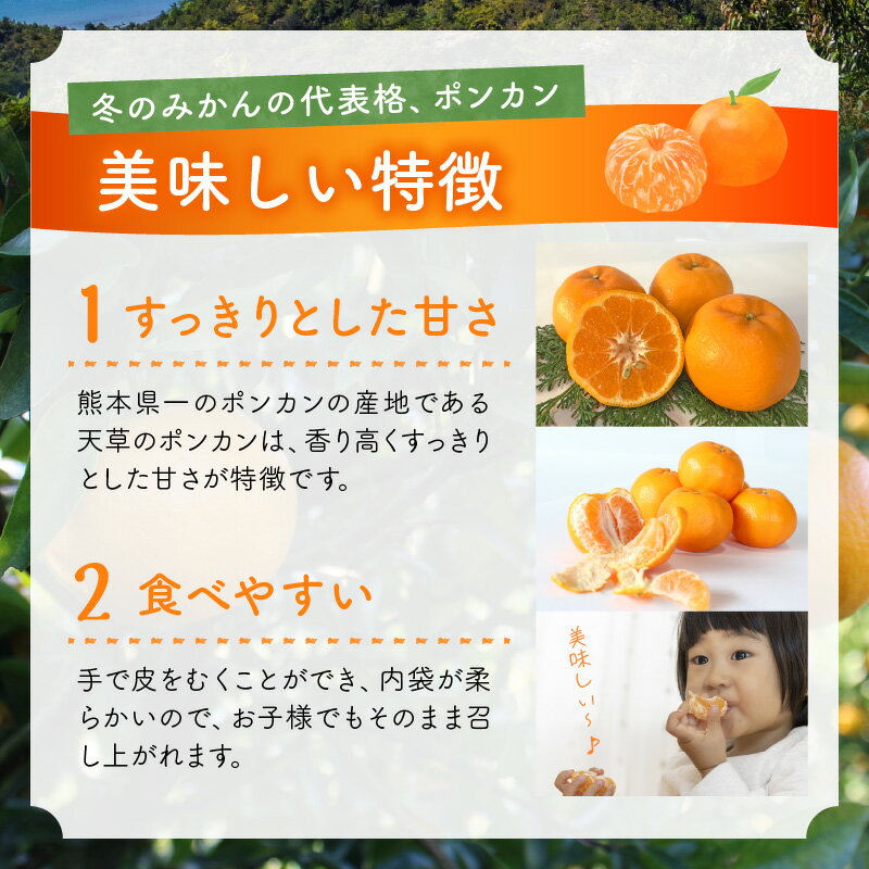 【ふるさと納税】先行受付 ポンカン 天草 5kg 箱 天草産 柑橘 みかん 樹上完熟栽培 香り高い すっきりとした甘さ 果物 フルーツ 果樹園 有楽園 のし対応可 お取り寄せ お取り寄せフルーツ 熊本県 天草市 送料無料 サムネイル3
