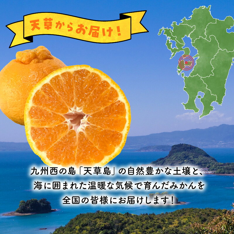 【ふるさと納税】先行受付 不知火 3kg 8～12玉 箱 天草産 柑橘 みかん 樹上完熟栽培 上品な甘さ 果物 フルーツ 果樹園 有楽園 お取り寄せ お取り寄せフルーツ のし対応可 常温配送 熊本県 天草市 送料無料 サムネイル2