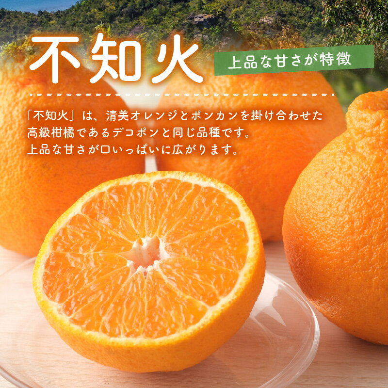 【ふるさと納税】先行受付 不知火 3kg 8～12玉 箱 天草産 柑橘 みかん 樹上完熟栽培 上品な甘さ 果物 フルーツ 果樹園 有楽園 お取り寄せ お取り寄せフルーツ のし対応可 常温配送 熊本県 天草市 送料無料 サムネイル3