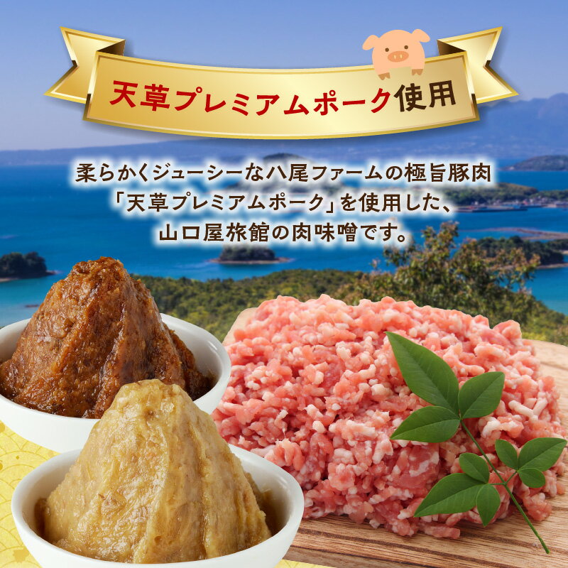 【ふるさと納税】いまきん食堂監修 山口屋 肉味噌 白みそ 2パック 熊本県 天草市 送料無料 サムネイル3