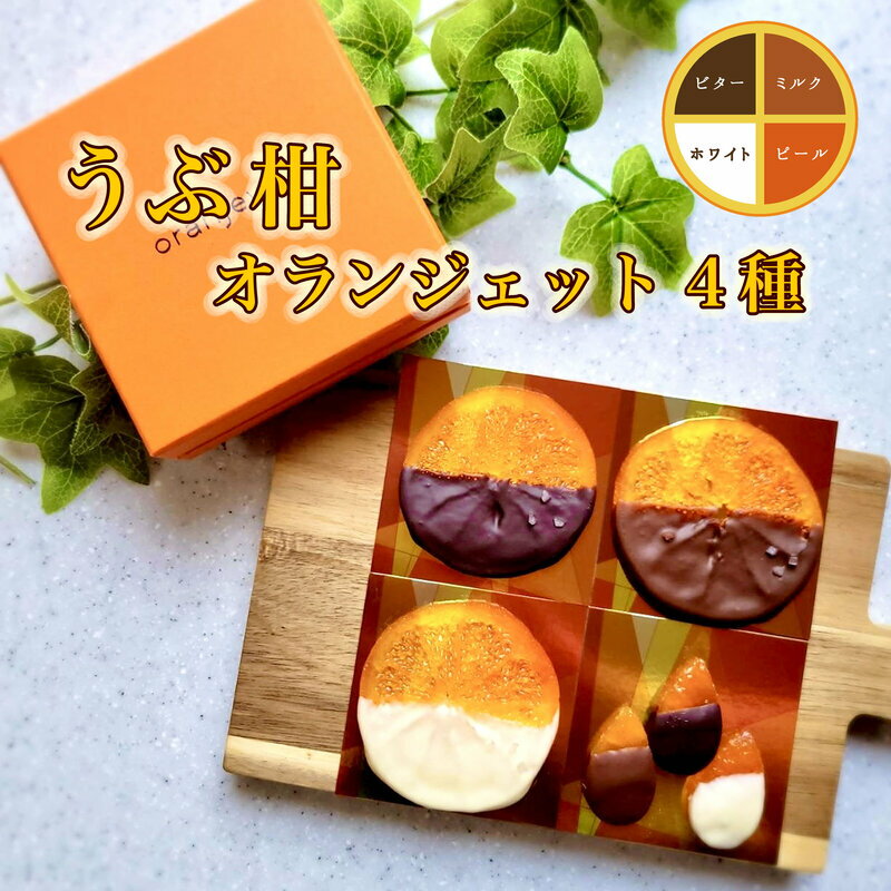 うぶ柑 オランジェット 4種 セット 輪切り3枚とピール3種各1枚 バレンタイン 箱 天草 無人島 産島 甘夏 甘酸っぱい ほろ苦い 塩 トッピング 香り 豊か チョコレート シンプル 贈り物 お取り寄せ 熊本県 天草市 送料無料