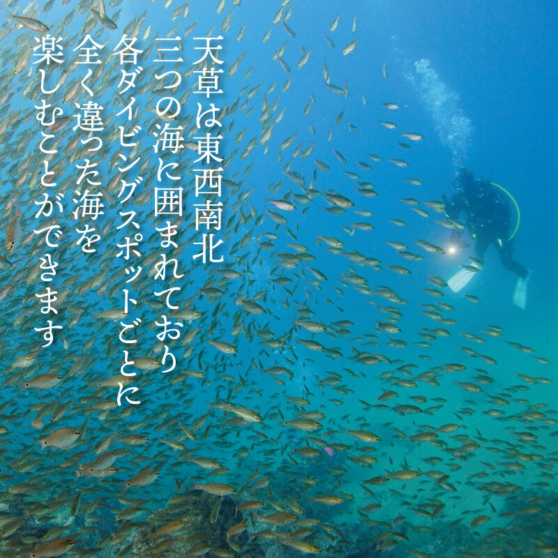 【ふるさと納税】よかよか体験チケット 30,000円 よかよか ダイビング利用券 体験 チケット ダイビング シュノーケル ライセンス 講習 体験プラン 熊本県 天草市 アクティビティ ビーチ ボートダイビング お取り寄せ 送料無料 - 画像3