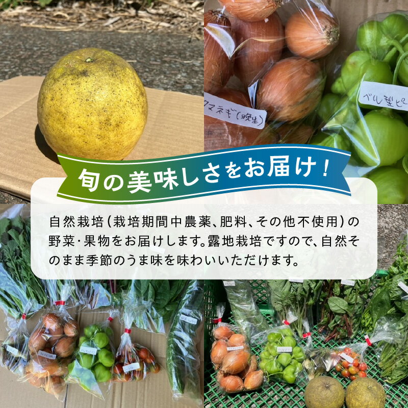 【ふるさと納税】定期便 野菜 果物 セット 旬 詰合せ 8 〜 10品 おまかせ 選べる 回数 3回 6回 12回 採れたて 晩柑 温州ミカン ビワ スモモ レモン いちじく 甘柿 自然栽培 露地栽培 栽培期間中農薬不使用 常温 冷蔵 天草産 九州 産地直送 お取り寄せ 熊本県 天草市 送料無料 - 画像2