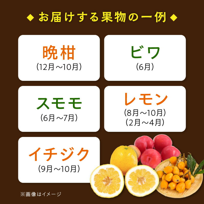 【ふるさと納税】野菜 果物 セット 旬 詰合せ 8〜10品 おまかせ 採れたて 晩柑 温州みかん ビワ スモモ レモン いちじく 甘柿 自然栽培 季節 露地栽培 栽培期間中農薬不使用 安心 お楽しみ 常温 冷蔵 天草産 九州 産地直送 お取り寄せグルメ 熊本県 天草市 送料無料 - 画像3