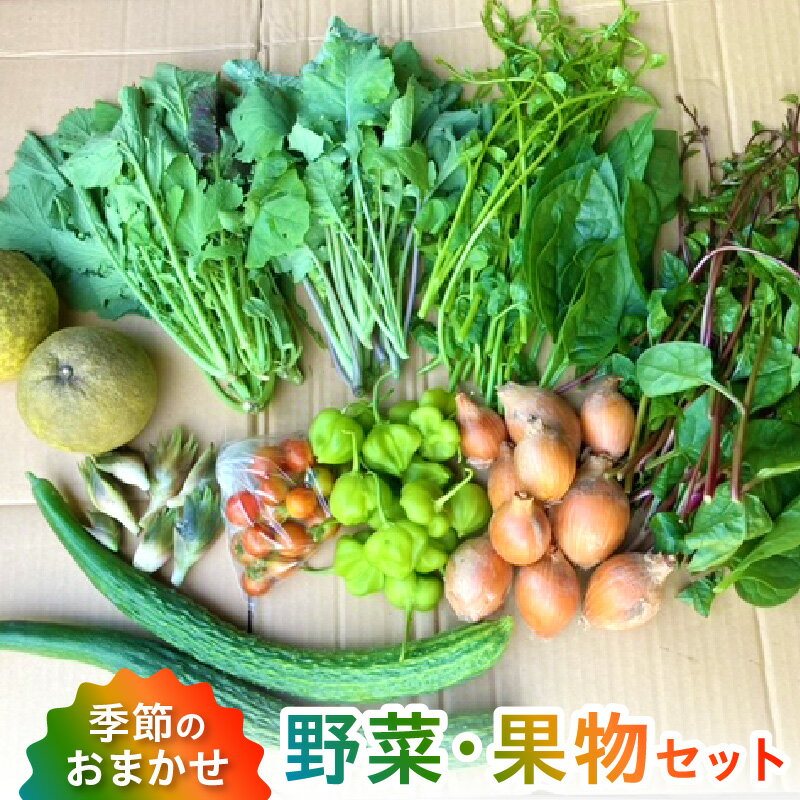 野菜 果物 セット 旬 詰合せ 8〜10品 おまかせ 採れたて 晩柑 温州みかん ビワ スモモ レモン いちじく 甘柿 自然栽培 季節 露地栽培 栽培期間中農薬不使用 安心 お楽しみ 常温 冷蔵 天草産 九州 産地直送 お取り寄せグルメ 熊本県 天草市 送料無料