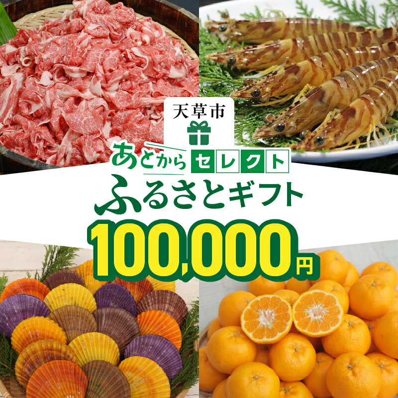 あとからセレクト 10万円 【ふるさとギフト】 あとから選べる 肉 牛肉 黒毛和牛 定期便 魚 海鮮 ブリ 海老 車海老 干物 米 柑橘 ポンカン ふぐ 鶏肉 天草大王 パール アクセサリー あとから 選べる 天草市 熊本県
