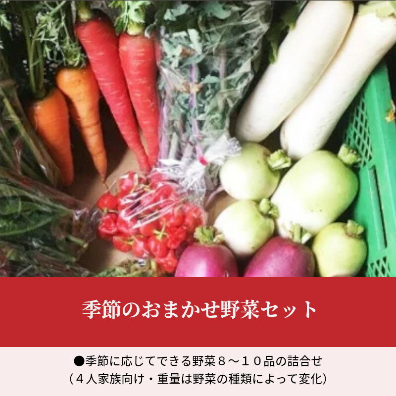 【ふるさと納税】野菜 セット 旬 詰合せ 8〜10品 おまかせ 4人用 採れたて 自然栽培 季節 うま味 露地栽培 栽培期間中 農薬不使用 安心 お楽しみ 冷蔵 天草産 熊本県 九州 産地直送 お取り寄せグルメ 送料無料 - 画像2