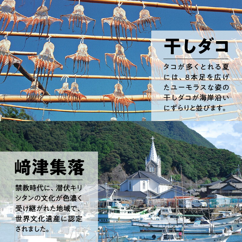 【ふるさと納税】熊本県天草市の対象施設で使える楽天トラベルクーポン 寄付額100,000円 ホテル 旅館 宿泊予約 旅行 予約 宿泊 連泊 観光 国内 旅行クーポン 宿泊券 旅行券 チケット 春 夏 秋 冬 ビジネス 出張 - 画像3