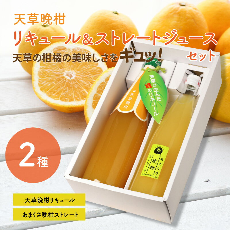 【ふるさと納税】天草晩柑 リキュール ストレート ジュース セット 柑橘 お酒 2種 晩柑 果汁 果肉 たっぷり 果汁100% 無添加 爽やか さっぱり 手搾り 国産 熊本 天草 お取り寄せ フルーツ系 ドリンク 飲料 送料無料 サムネイル2