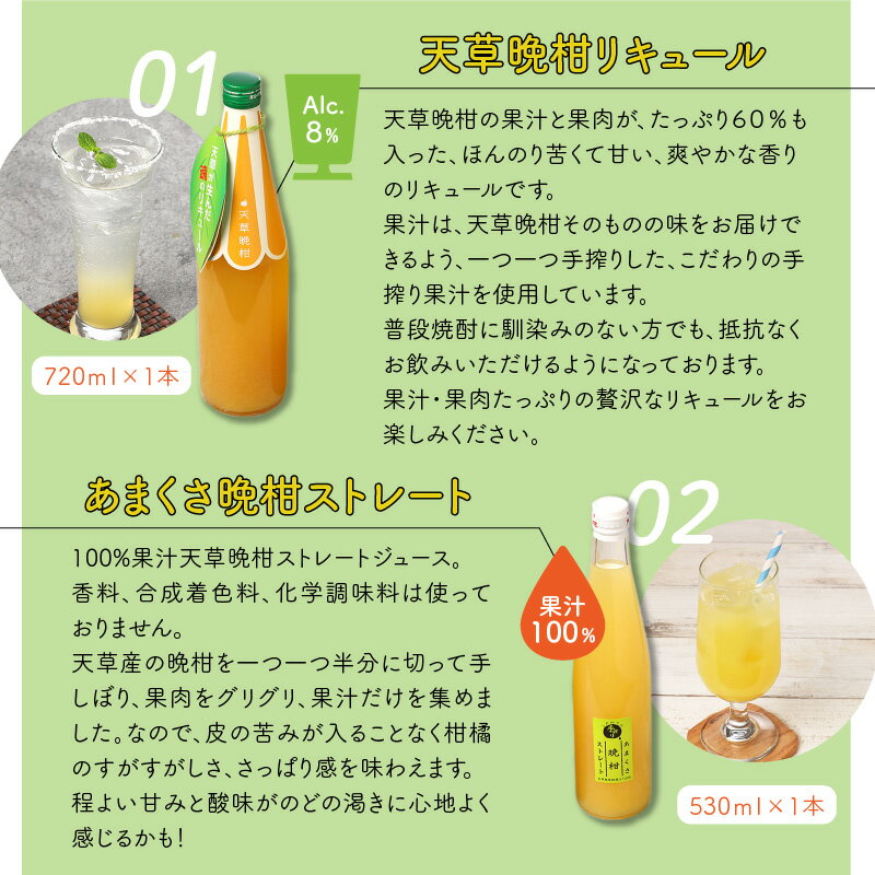 【ふるさと納税】天草晩柑 リキュール ストレート ジュース セット 柑橘 お酒 2種 晩柑 果汁 果肉 たっぷり 果汁100% 無添加 爽やか さっぱり 手搾り 国産 熊本 天草 お取り寄せ フルーツ系 ドリンク 飲料 送料無料 サムネイル3