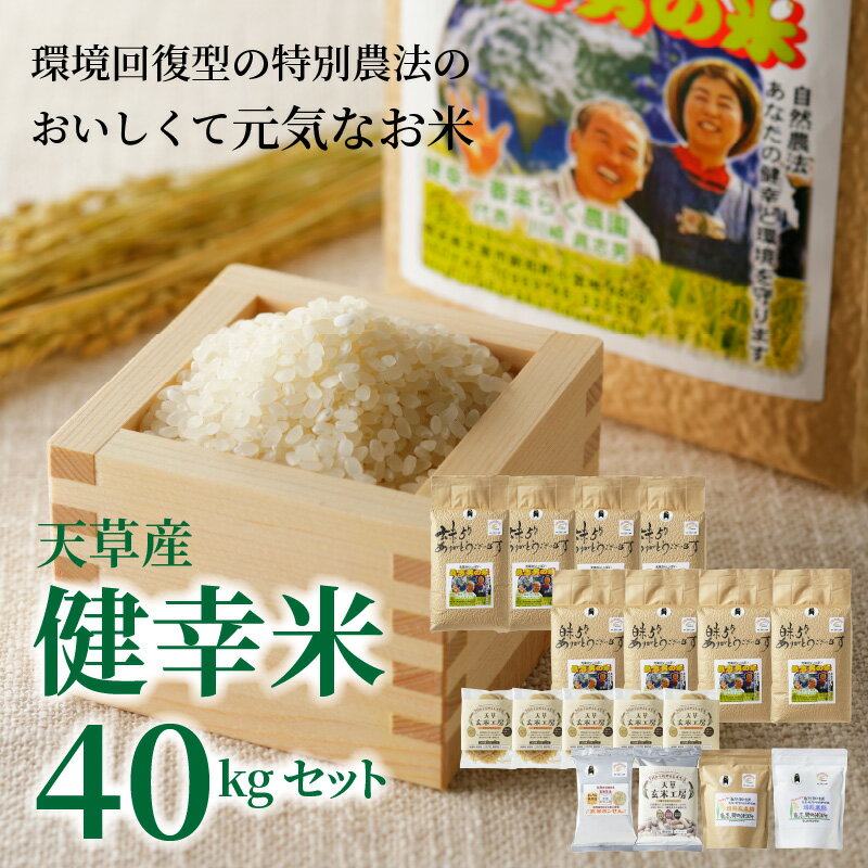 【ふるさと納税】令和7年産 健幸米 セット 精米 5kg × 4袋 玄米 5kg×4袋 コシヒカリ 焙煎玄米めん 玄米麺 グルテンフリー 玄米ポンせん 赤米 黒米 玄米 スティック 焙煎米粉 焙煎玄米粉 特別栽培米 単一原料米 熊本県 天草 送料無料 - 画像2
