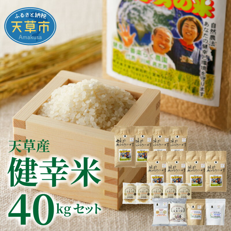 令和7年産 健幸米 セット 精米 5kg × 4袋 玄米 5kg×4袋 コシヒカリ 焙煎玄米めん 玄米麺 グルテンフリー 玄米ポンせん 赤米 黒米 玄米 スティック 焙煎米粉 焙煎玄米粉 特別栽培米 単一原料米 熊本県 天草 送料無料