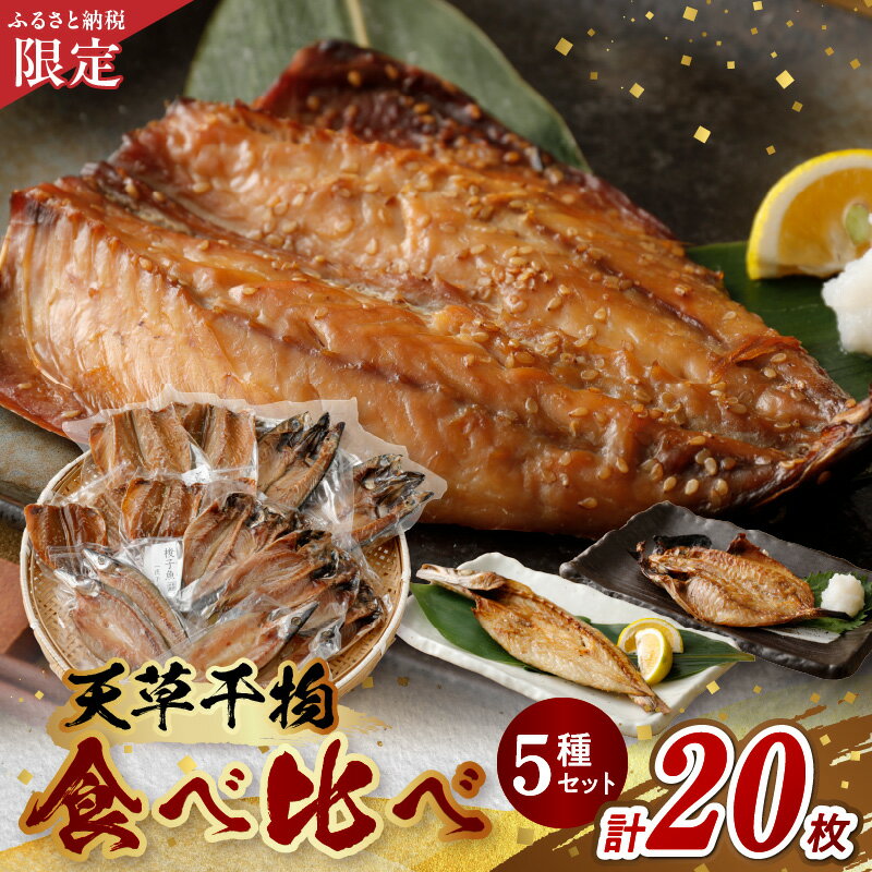 干物 ふるさと納税限定 国産 5種 20枚セット アジ サバ カマス 一夜干し みりん干し 食べ比べ セット 詰め合わせ 魚 厳選 天然 天日干し 合成保存料不使用 真空包装 ギフト 熊本 天草 食品 お取り寄せ 食べ物 送料無料 冷凍