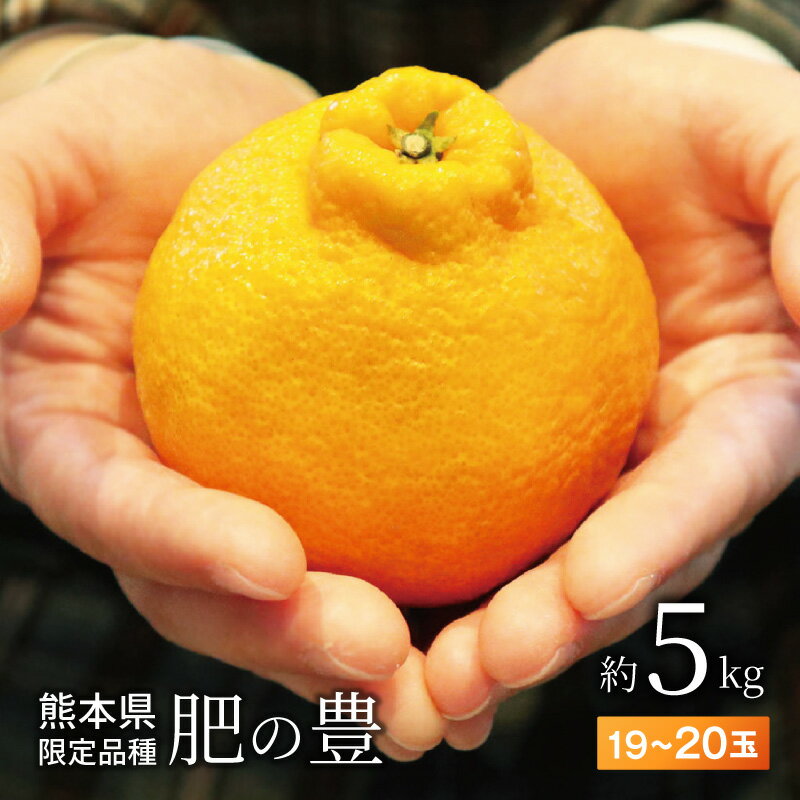 肥の豊 約 5kg 19 ～ 20玉 L ～ 3L サイズ混合 天草産 熊本限定品種 収穫後熟成 サイズ混合 瑞々しい果汁 不知火 オリジナル 柑橘 果物 フルーツ 食品 オレンジファーム本田 熊本県 天草市 お取り寄せ お取り寄せグルメ 送料無料 先行受付