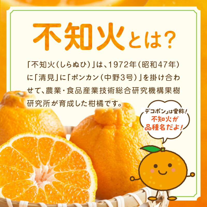 【ふるさと納税】【先行受付】 加温 ハウス 不知火 約 3kg 国産 柑橘 デコポン みかん ハウスみかん 果物 果実 フルーツ デザート スイーツ 食べ物 食品 常温 熊本県 天草市 お取り寄せ お取り寄せフルーツ 送料無料 サムネイル3