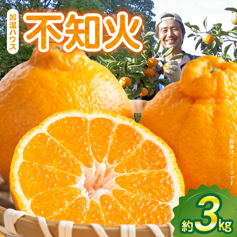 【先行受付】 加温 ハウス 不知火 約 3kg 国産 柑橘 デコポン みかん ハウスみかん 果物 果実 フルーツ デザート スイーツ 食べ物 食品 常温 熊本県 天草市 お取り寄せ お取り寄せフルーツ 送料無料
