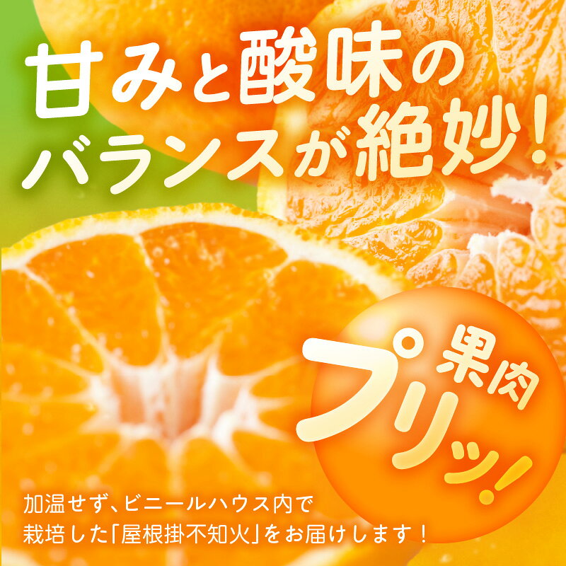 【ふるさと納税】【先行受付】 屋根掛 デコポン 不知火 約 5kg 国産 みかん ハウスみかん フルーツ 果物 柑橘 デザート スイーツ お取り寄せフルーツ 食べ物 食品 常温 熊本県 天草市 お取り寄せ 送料無料 サムネイル2
