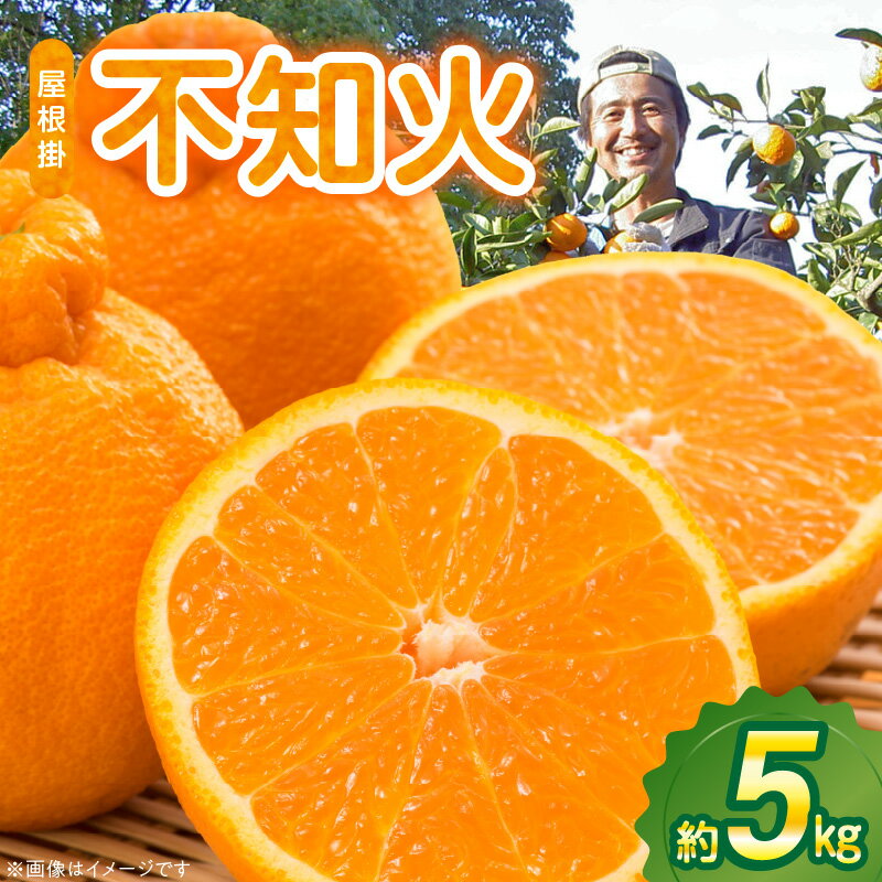 【先行受付】 屋根掛 デコポン 不知火 約 5kg 国産 みかん ハウスみかん フルーツ 果物 柑橘 デザート スイーツ お取り寄せフルーツ 食べ物 食品 常温 熊本県 天草市 お取り寄せ 送料無料